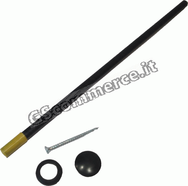 0001555 - ASTINA REBBIO IN CARBONIO D.10x290 COMPLETA PER GIULIVO 703/704/706 G3/FORYOU PZ.1 