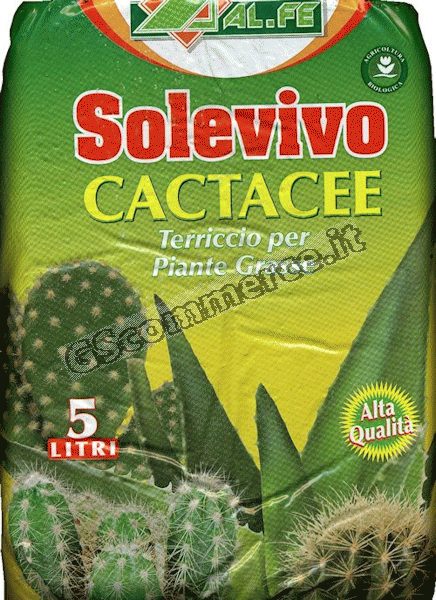 0002595 - TERRICCIO CACTACEE SOLEVIVO LT.5 PZ.1x4(144) 